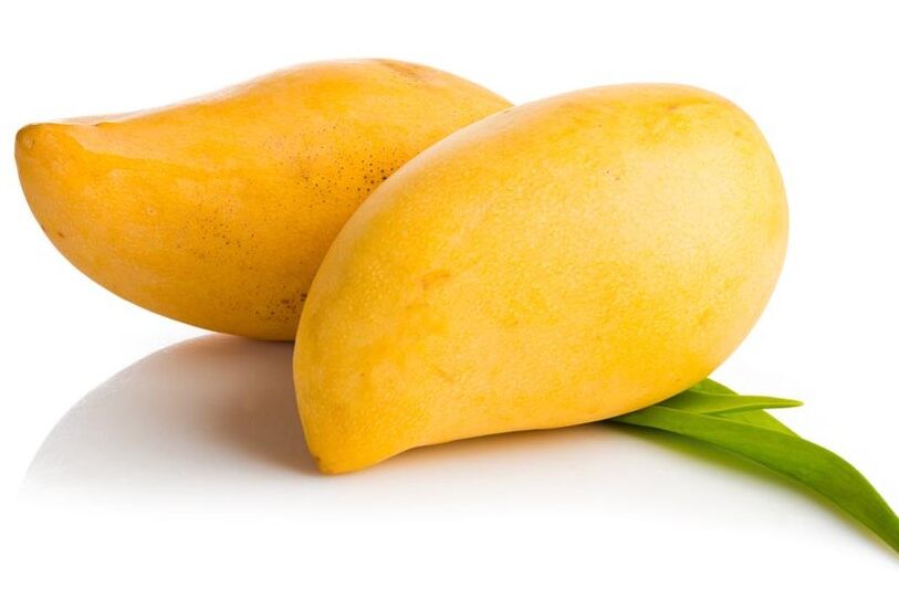 Ирингс Габонскаиа - Састав зкцвбнмкварт