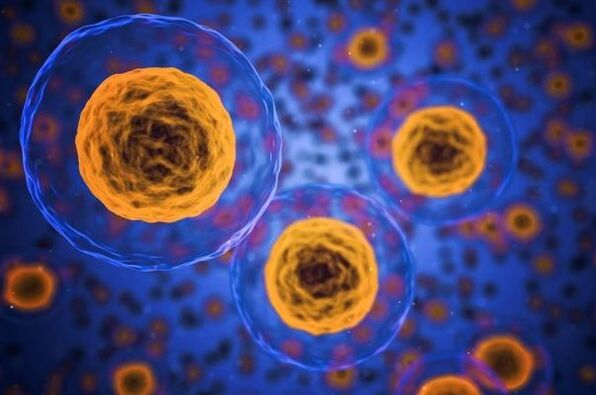 Како се дешава процес губитка тежине